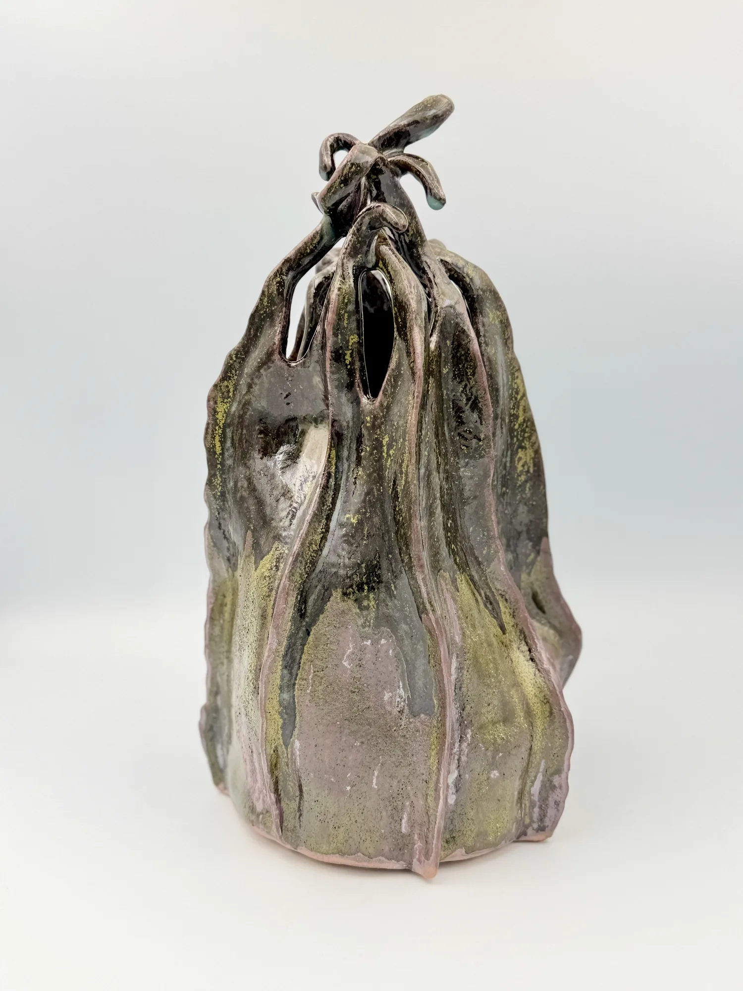 Nocturnal Seed Pod
