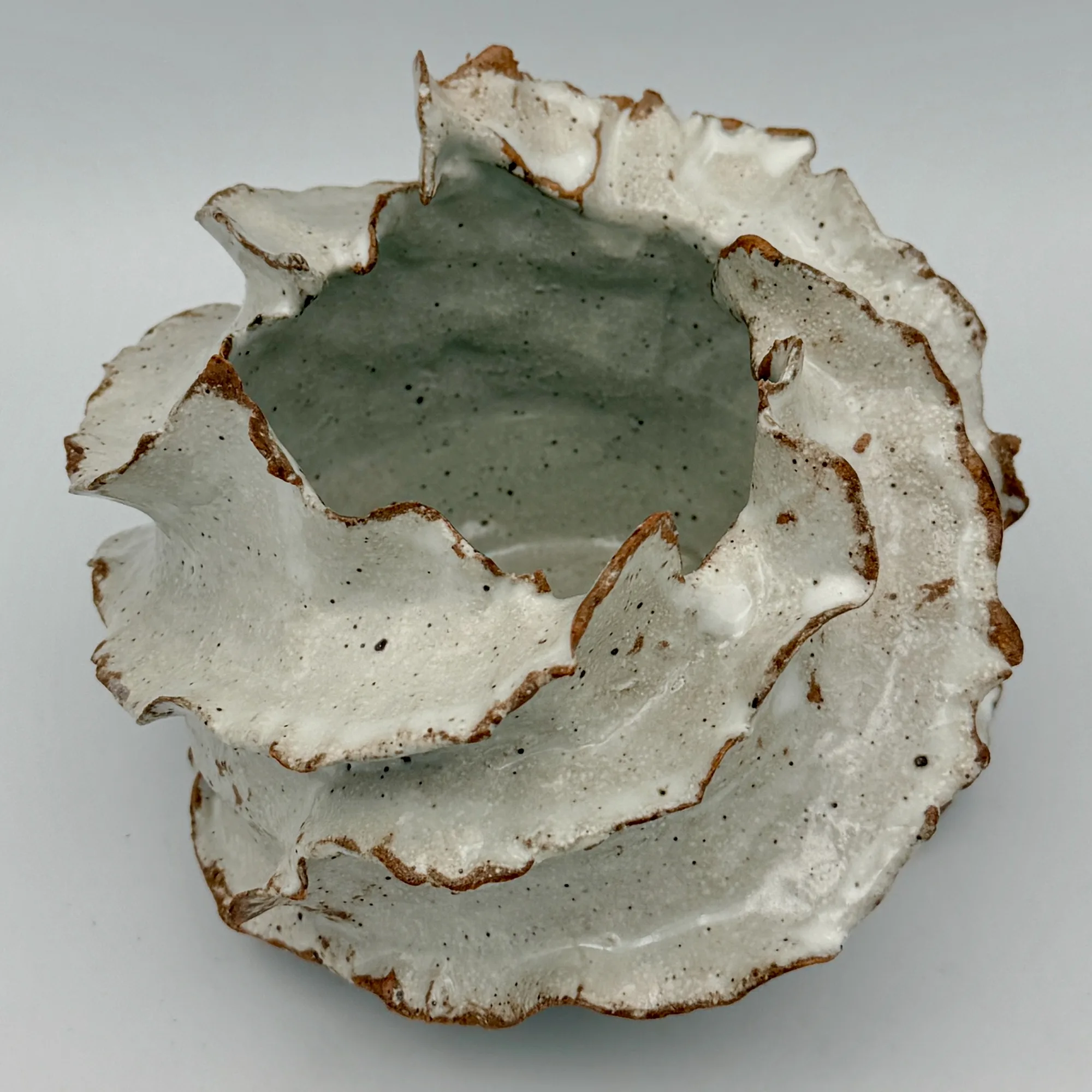 Raw Lustre, No. 1